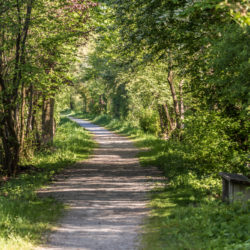 Rentnerweg, Isen